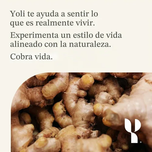 Vista 10 de Yoli Flex Joint Support, glucosamina, condroitina y vitamina K2, 60
