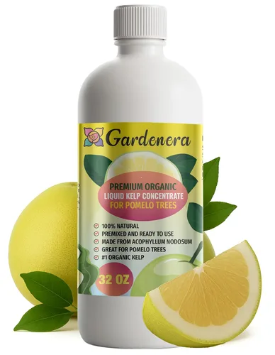 Vista 77 de GARDENERA Superalimento orgánico prémium de algas marinas y algas marinas para plantas AROID - 32 oz - Concentrado de fertilizante líquido de algas