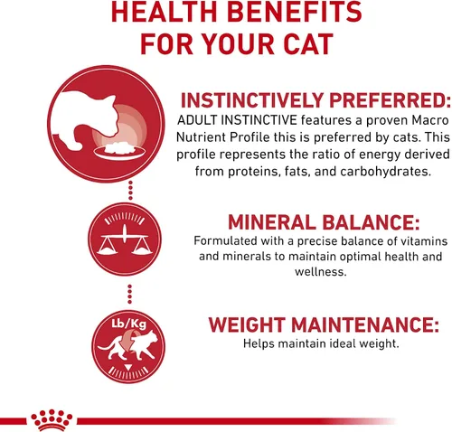 Vista 2 de Royal Canin Feline Health Nutrition - Trozos instintivos para adultos en salsa para gatos, 3 onzas (paquete de 12)