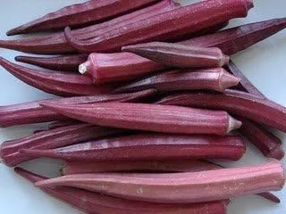 Vista 4 de Okra Red Borgoña Great Heirloom Vegetable By Seed Kingdom Bulk Semillas de 1 libra