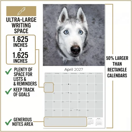 Vista 4 de Razas de Perros 2017 SIBERIAN HUSKY