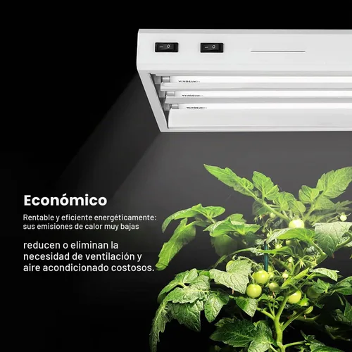 Vista 3 de VIVOSUN Bombillas T5 de crecimiento de 2 pies y 22 pulgadas, 24 W, 6500 K, tubos fluorescentes HO, bombilla blanca fría T5 para lámparas T5 de 22