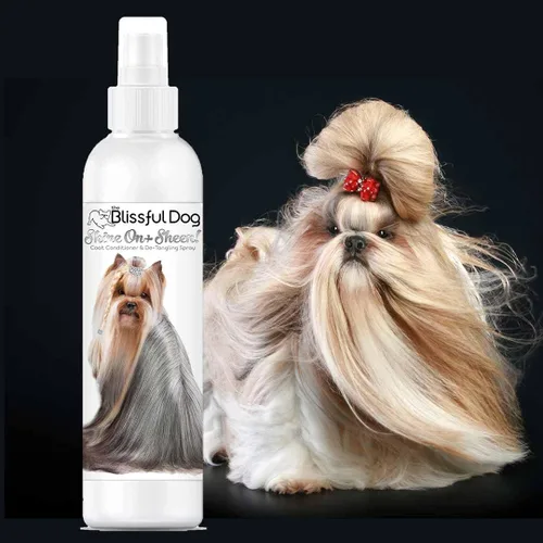 Vista 2 de The Blissful Dog Shine-On + Sheen Coat - Spray para perro, acondicionador fácil de usar, acondicionador sin enjuague sensible a la piel, espray
