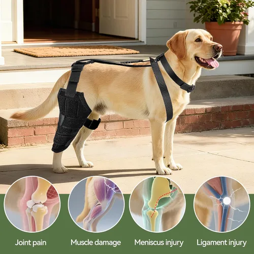 Vista 6 de Rodillera de perro para pierna trasera, soporte ajustable para piernas de perro para desgarro de ACL, soporte de pierna trasera, estabilidad