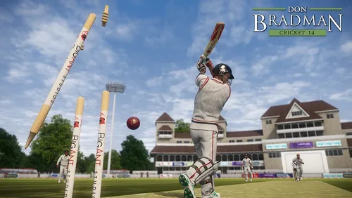 Vista 3 de Don Bradman Cricket