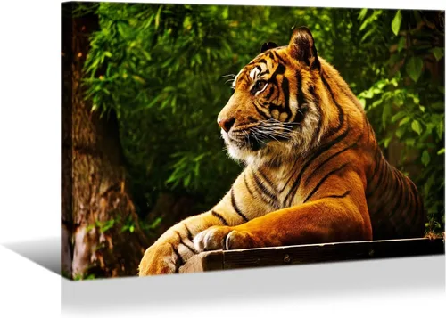 Vista 37 de YONICA Lienzo de pared de animales de la naturaleza, pintura de pared de águila, impresión artística de águila calva voladora impresa en lienzo