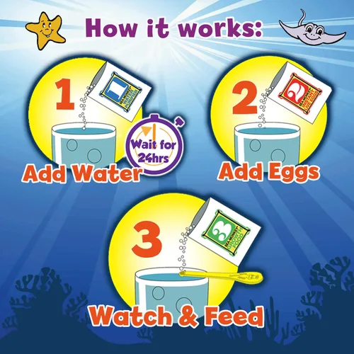 Vista 3 de Los monos marinos originales - Zoo oceánico - Kit de ciencia para criar tus propias mascotas - Incluye huevos, alimentos y purificador de agua