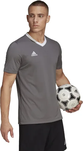 Vista 5 de adidas Camiseta estampada Entrada 22 para hombre