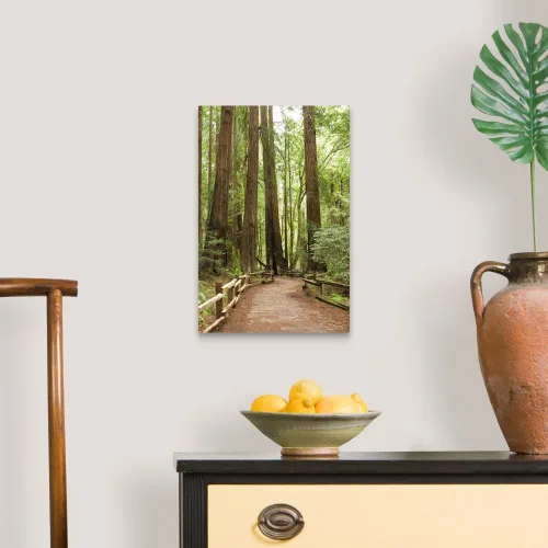 Vista 3 de California, condado de Marin, Muir Woods - Lienzo decorativo para pared, diseño de bosque