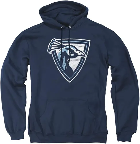 Vista 22 de Distressed College Primary Logo Adult Pullover Hoodie Collection 1 Universidad Estatal de Albany