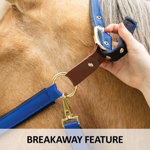 Vista 3 de Dura-Tech Cabestro de caballo totalmente acolchado de lujo Superposición de tela de nailon de doble capa de 1 pulgada Hardware resistente