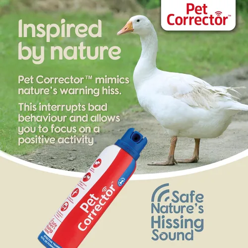 Vista 4 de Corrector para perros The Company of Animals (paquete de 4), 50ml