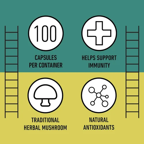 Vista 8 de Complete Natural Products Cápsulas orgánicas de hongos Chaga - 100 unidades, poder antioxidante orgánico, refuerzo inmunológico, apoyo intestinal
