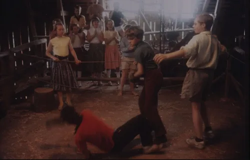 Vista 3 de My Life as a Dog (The Criterion Collection) Blu-ray