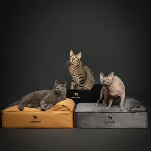 Vista 6 de NOAH & PAW Cama pequeña para perros, 20 x 15 x 6.5 pulgadas, cama para gatos de interior, espuma viscoelástica ortopédica de cáscara de huevo Verde