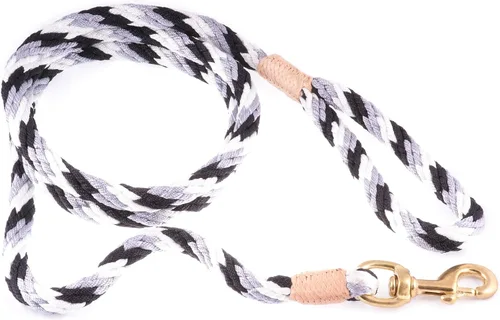 Vista 83 de Alvalley Correa para perros estilo broche – Correa de nailon estilo broche para perros – Fácil de manejar – Perfecto para perros pequeños, medianos
