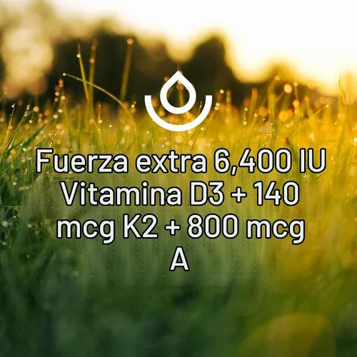 Vista 4 de Fresh Nutrition - Cápsulas veganas de vitamina D3 + K2 - 6400 UI D3 + 140 mcg de K2 como MK-7 para una absorción óptima y 800 mcg de vitamina A