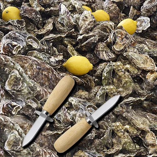 Vista 7 de 2Oyster - Cuchillo de acero inoxidable con mango de madera, con 2 pares de guantes resistentes a cortes de nivel 5, abridor de ostras para cocina
