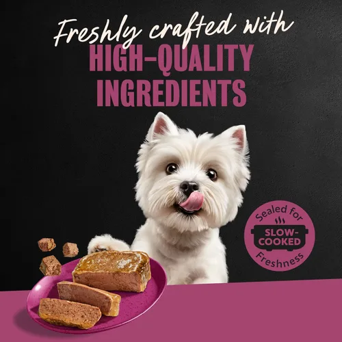 Vista 11 de Cesar Gourmet - Comida húmeda para perros, paquete de 12