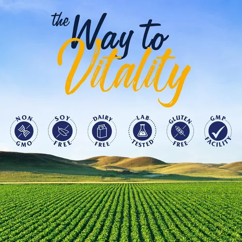 Vista 9 de Vitalitown Zinc de magnesio, con vitaminas D3 y B6, glicinato de magnesio quelado, malato, citrato, taurato, alta absorción, para dormir, hueso