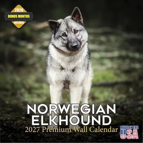 Vista 105 de Calendario de Lebrel Afgano 2025 2026, calendario mensual de pared de raza canina, 12" x 18" abierto, papel grueso sin traspaso, ideal para regalo