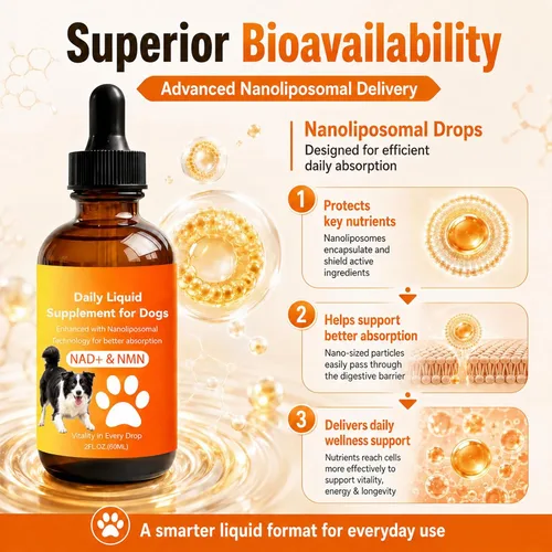 Vista 5 de Suplemento de longevidad para perros con NMN, NAD+, CoQ10 y resveratrol - Apoya la salud de las articulaciones, la vitalidad y el envejecimiento