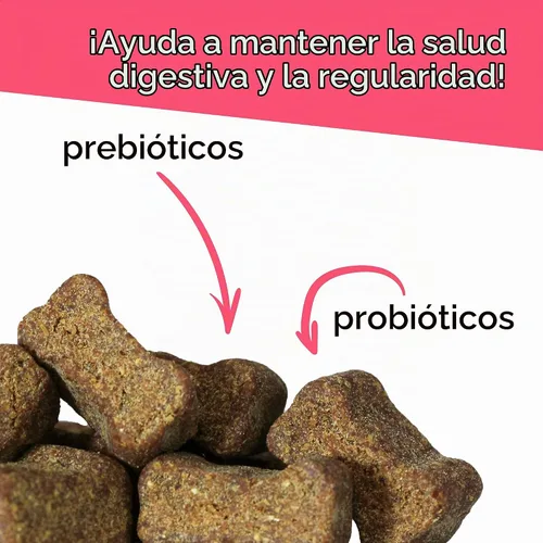 Vista 4 de VetriScience Gomitas para la Salud Intestinal, Suplemento Digestivo Probiótico Diario para Perros, Probióticos para Mascotas para el Apoyo