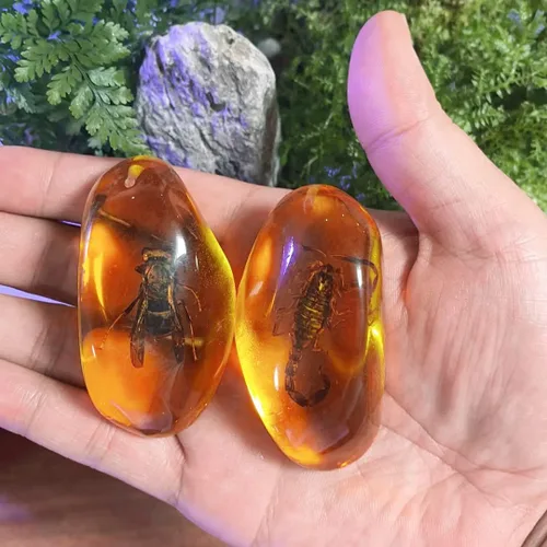 Vista 2 de 8 piezas de fósiles ámbar con insectos, muestras de piedras de cristal para decoración del hogar, colecciones, colgantes ovalados, colgante