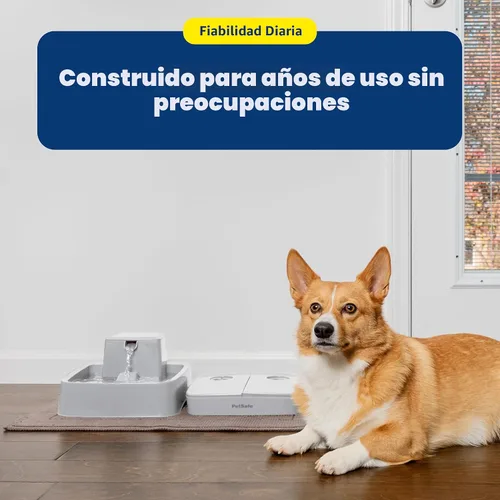 Vista 7 de PetSafe Analog 2 Comedero Programable para 2 Comidas para Mascotas, Comedero Automático para Perros y Gatos - Dispensador de Comida Seca