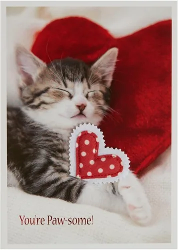 Vista 3 de NIQUEA.D, Foto Gatito Y Corazón Almohadas Tarjeta De San Valentín