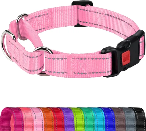 Vista 11 de Joytale Collar Martingale para perros, reflectante resistente para mayor seguridad, hebilla de liberación rápida, collares de nailon ajustables