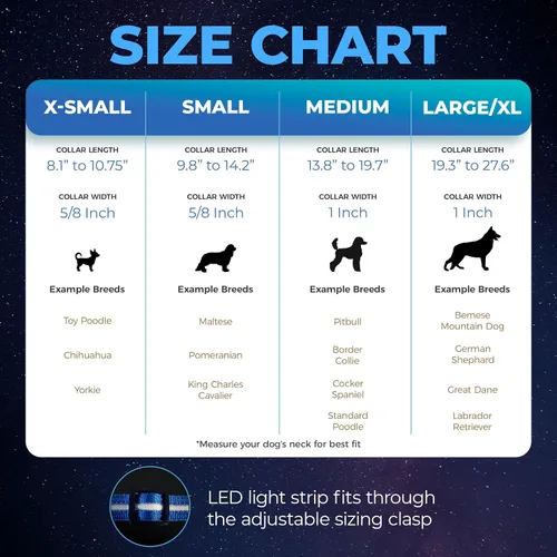 Vista 5 de Blazin - Collares luminosos para perros, collar led original para perros con 1,000 pies de visibilidad, recargable mediante USB e impermeable