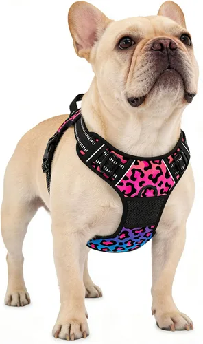 Vista 26 de Rnivvi Arnés para perro sin tirones, bonito arnés reflectante de tamaño extra pequeño, chaleco acolchado suave ajustable para perros pequeños
