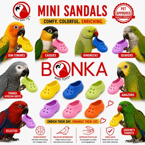Vista 9 de Bonka PK4 - Mini sandalias de 3 pulgadas, juguetes suaves para pies