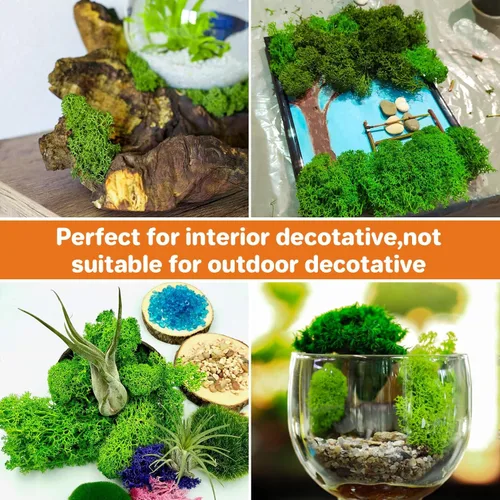 Vista 6 de Sukh Musgo preservado – Musgo de 3.5 onzas para manualidades, musgo sintético de musgo verde natural, arte para pared, terrarios de musgo floral