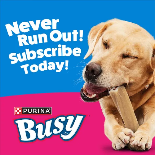 Vista 12 de Purina Busy Bone Dog Chew - Bocadillos para perros