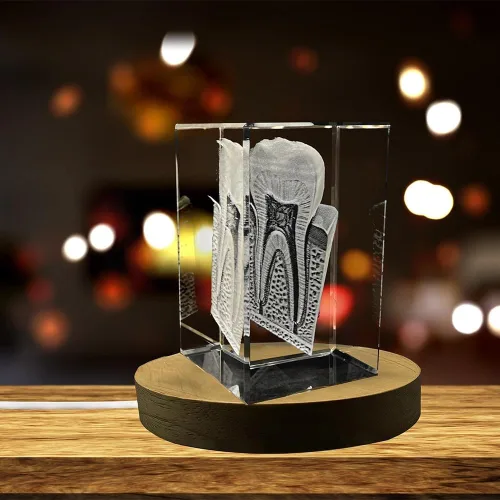 Vista 5 de Tooth are Recuerdo de cristal grabado en 3D Regalo para dentista Coleccionable Recuerdo Regalo personalizado de fotos de cristal 3D