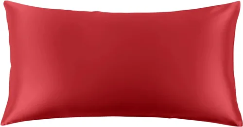 Vista 57 de THXSILK Funda de almohada 100% seda de morera para la salud del cabello y la piel, funda de almohada suave y lisa de 22 momme con cremallera oculta