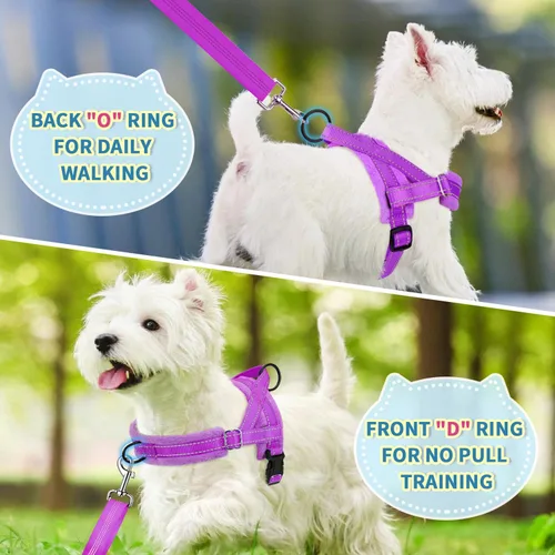 Vista 7 de Lukovee Juego de arnés y correa para perro sin tirones, arnés acolchado suave para perro pequeño, chaleco reflectante ajustable para cuello y pecho