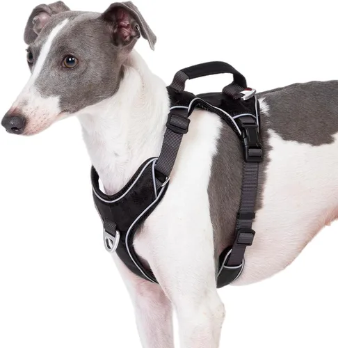 Vista 7 de Arnés para perro sin tirones con 2 clips para correa, chaleco reflectante, ajustable y acolchado, clips delanteros y traseros fáciles de caminar