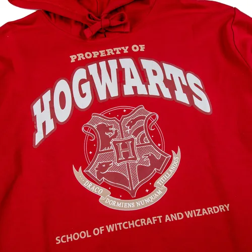 Vista 6 de Bioworld Harry Potter Hogwarts Alumni Juniors - Conjunto de sudadera con capucha y pantalones deportivos rojos, Multi colorido