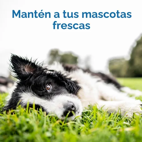 Vista 2 de The Green Pet Shop Cool Pet Pad – Extra pequeña, azul – Auto-refrigerante, alfombrilla activada por presión para perros y gatos de 0 a 8 libras