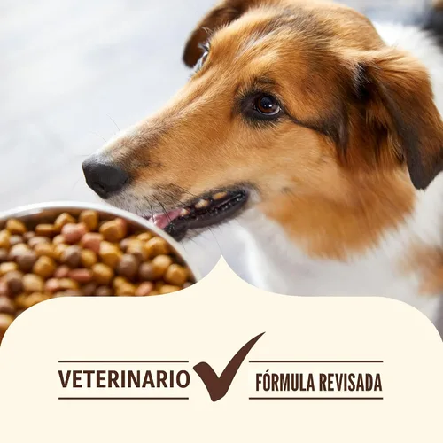 Vista 7 de Nutrish Alimento seco para perros con receta de salmón y batata sin granos, bolsa de 11.5 libras, el embalaje puede variar (Rachael Ray) Made with