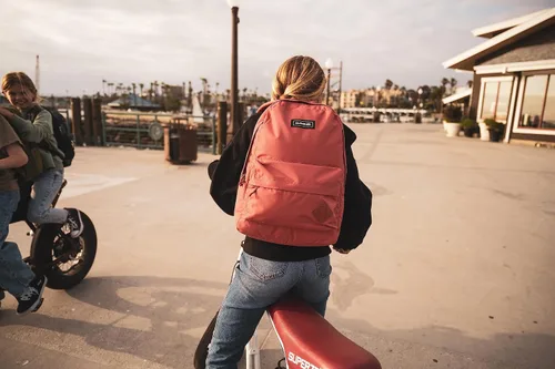 Vista 4 de Dakine 365 Paquete 21L, Laberinto de pétalos, Paquete de 365 mochilas de 21 litros