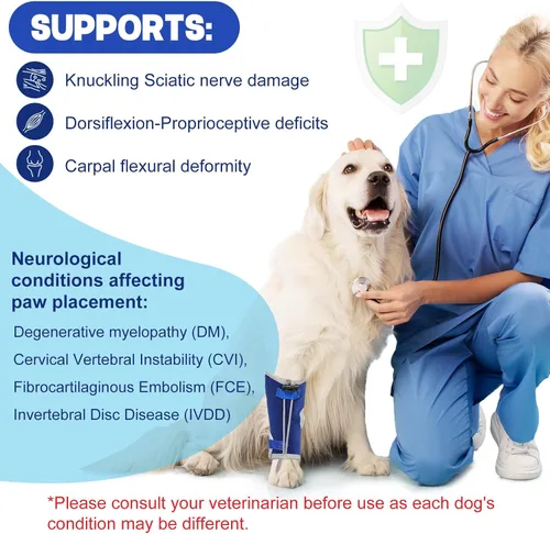 Vista 5 de Muñuelos para perros para hiperflexión de falanges causada por daño del nervio ciático y deformidad flexional carpiano - Correas de bloqueo dobles