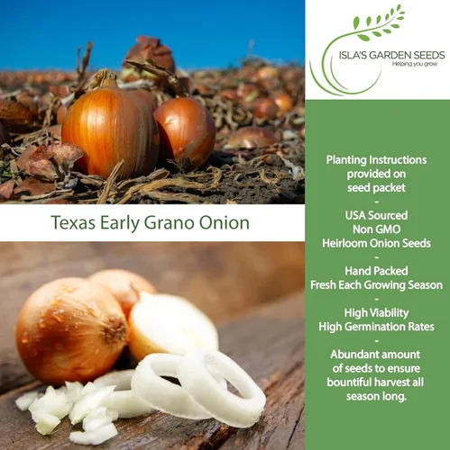Vista 2 de Semillas de cebolla granada temprana de Texas (Allium cepa) – Más de 300 semillas de reliquia sin OMG de Isla's Garden Seeds, cebolla dulce de día