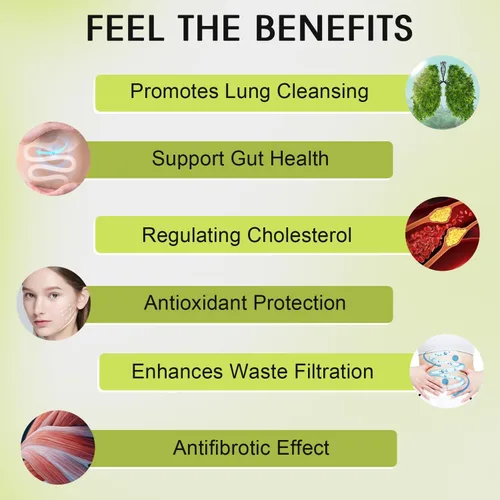 Vista 4 de CANLIST Cápsulas de cardo mariano de 1000 mg, potente extracto 9:1, apoyo para la salud hepática, desintoxicación y limpieza, antioxidante y salud