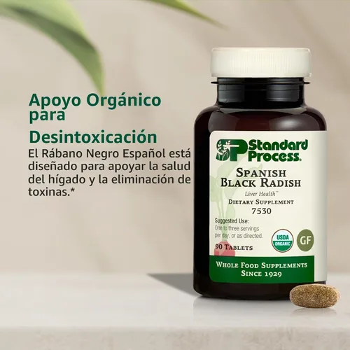 Vista 3 de Proceso Estándar Rábano Negro Español, Hígado y Vesícula Biliar, 90