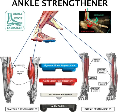 Vista 3 de Ankle Foot Exerciser® Fortalecedor de tobillo para alivio del esguince de tobillo, fortalecedor de pies para fascitis plantar; movilidad de tobillo