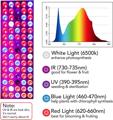 Vista 3 de Luces LED de crecimiento, lámpara de cultivo de espectro completo con luces LED IR y UV para plantas de interior, micro verdes, clones, suculentas